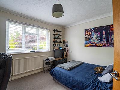 Picture 11